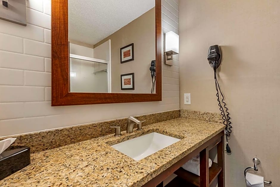 Comfort Inn & Suites Triadelphia