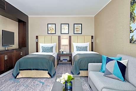 Deluxe Double or Twin Room with City View