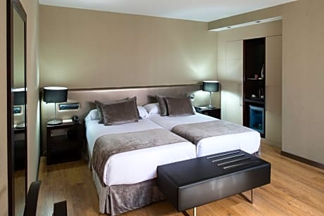 Superior Double or Twin Room with Terrace