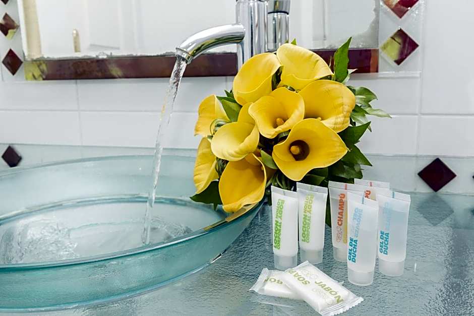 Hotel Viator - Gare De Lyon