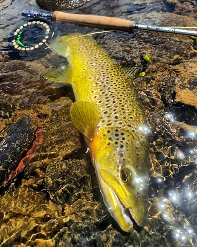 Thousand Lakes Lodge