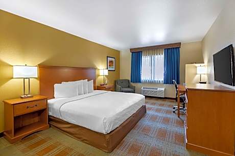 1 King Bed