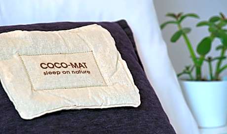 Family One-Bedroom Apartment