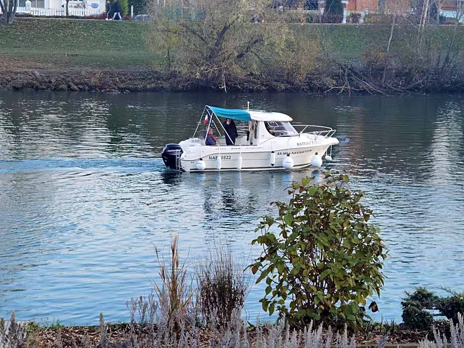 LES PINGOUINS DE LA MARNE