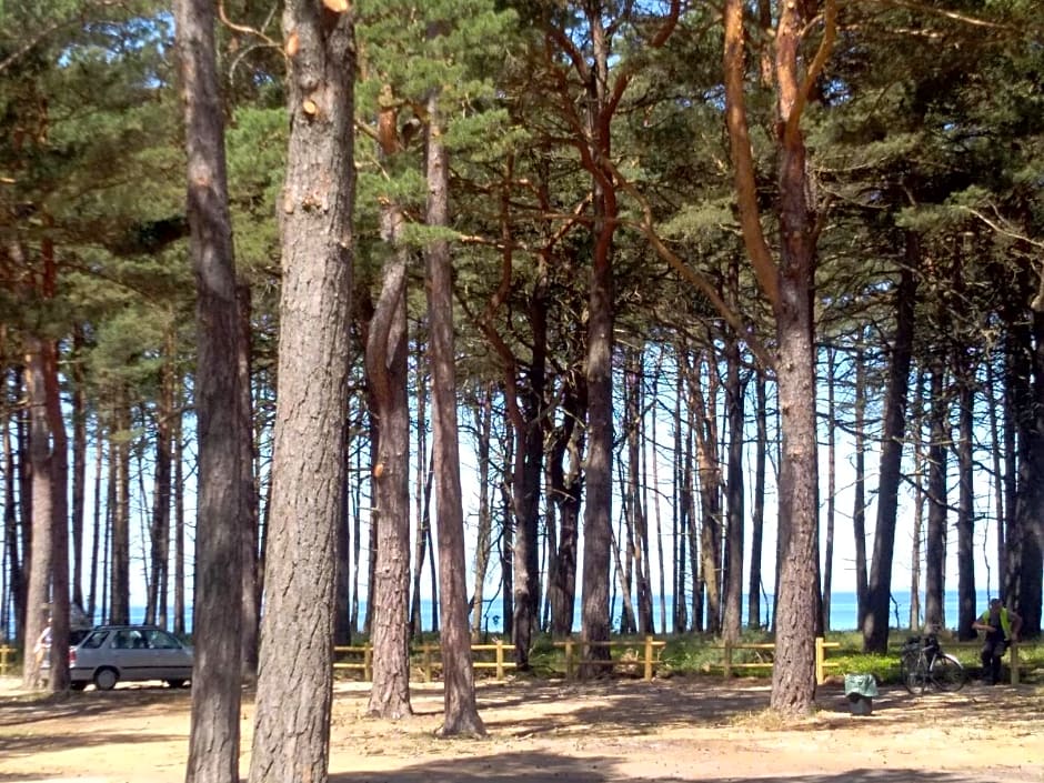 Niezapominajka Kopalino