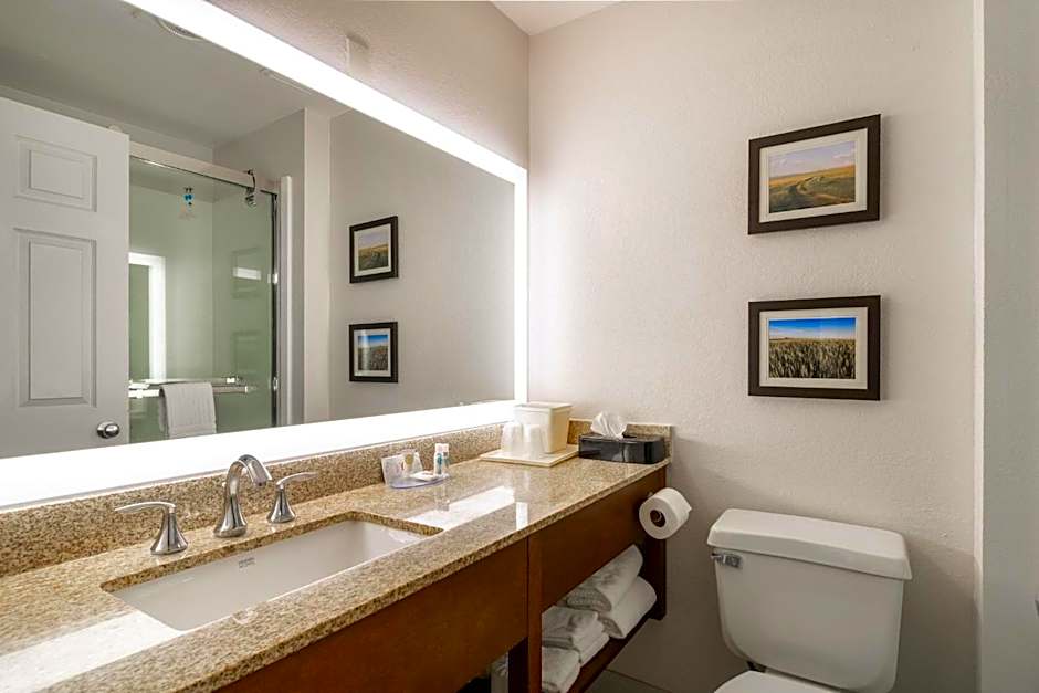 Comfort Inn Great Falls Central