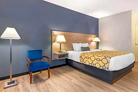 1 King Bed Non-Smoking