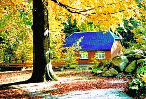 Kurpark Flair Hotel Im Ilsetal