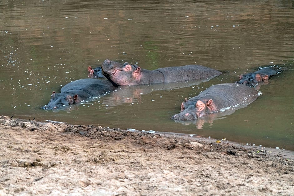 Olengoti Eco Safari Camp