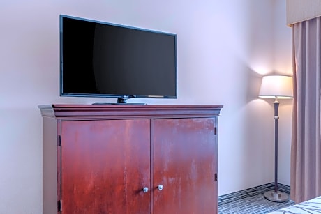 SUITE-1 QUEEN BED,NSMK,SOFBD,FLATSC,HISPD,MICRFG,FULL BREAKFAST