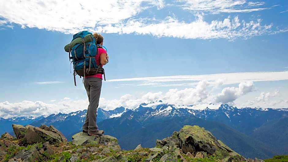 Cozy Mountain Apartment