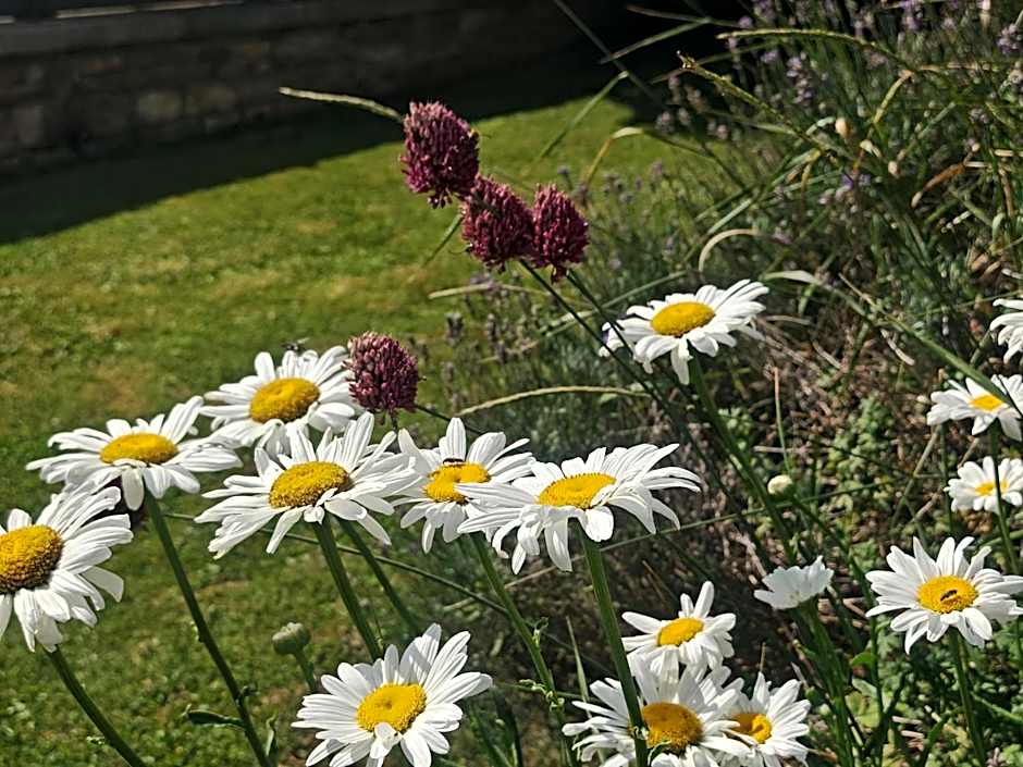 chez Émile côté face maison entière, 3 chambres, 2 salles de bains,jardin et terrasse