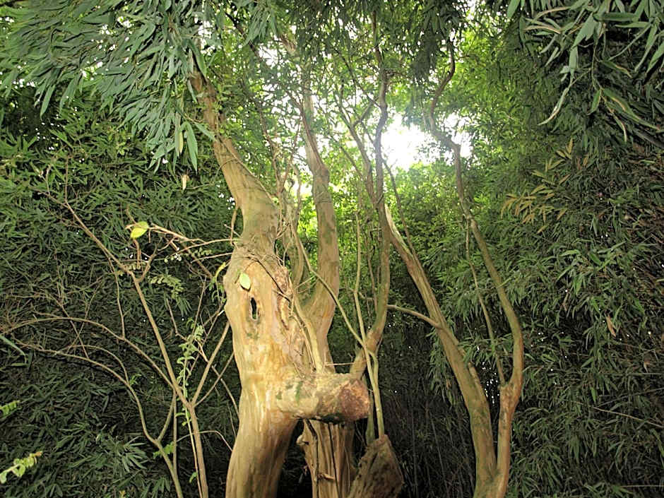 Balneario Hotel Dávila