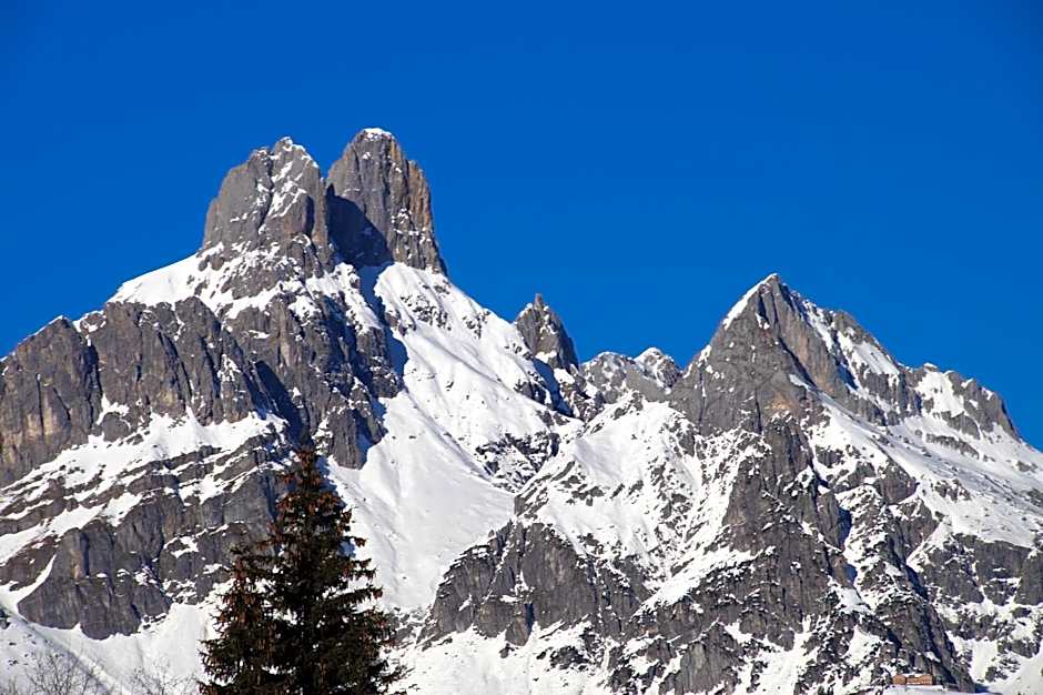 Appartement Resort Hanneshof