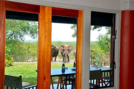 Tingala Lodge - Bed in the Bush