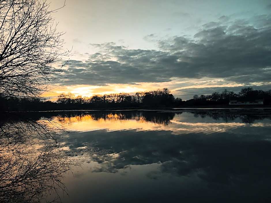 Domaine de la roselière • Nature • Brenne