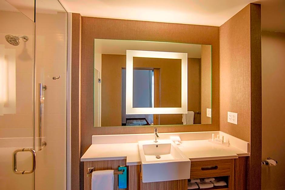 SpringHill Suites by Marriott Athens Downtown/University Area