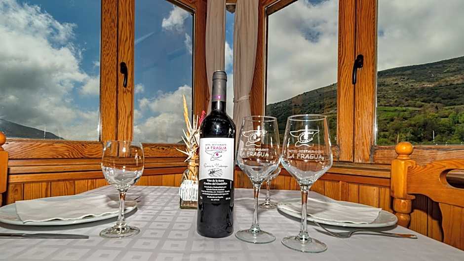 Hotel La Fragua II