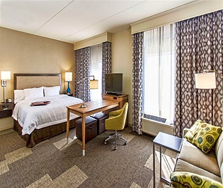 1 King Microwv/Fridge/Wet Bar Studio Suite Ns