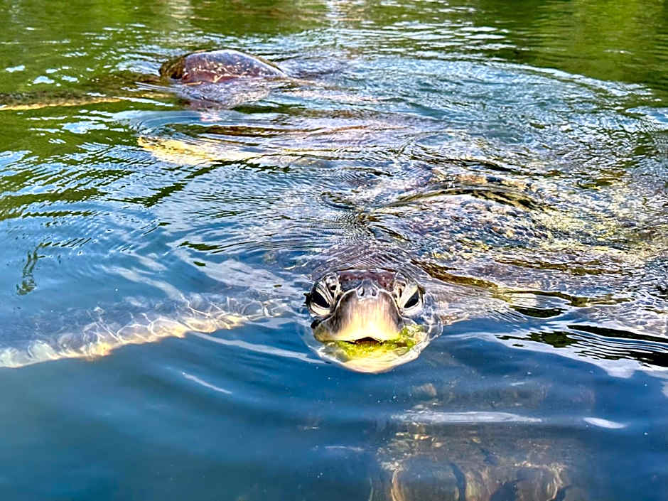 Chikachika Beach B&B