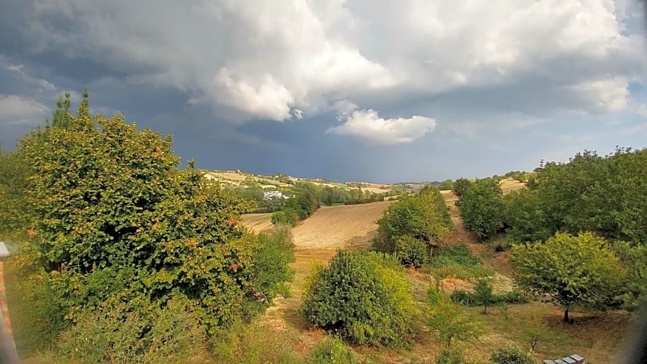 Il Ghiro Dormiglione