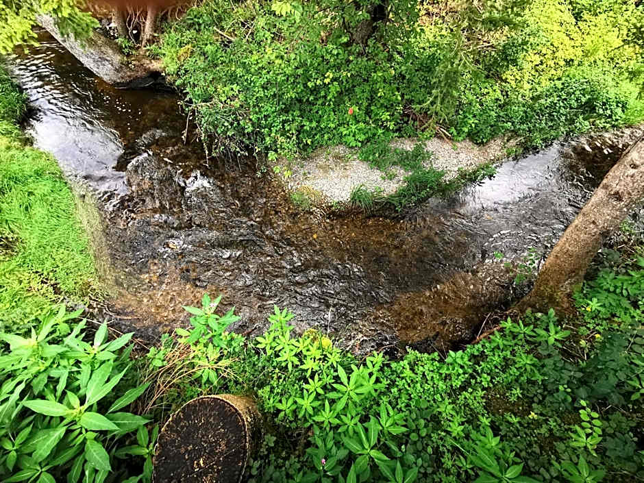 Wald ist Zukunft