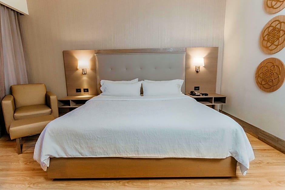 Hilton Garden Inn Silao Aeropuerto Bajio