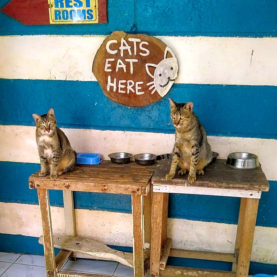 Paseo Del Mar Seaside Inn