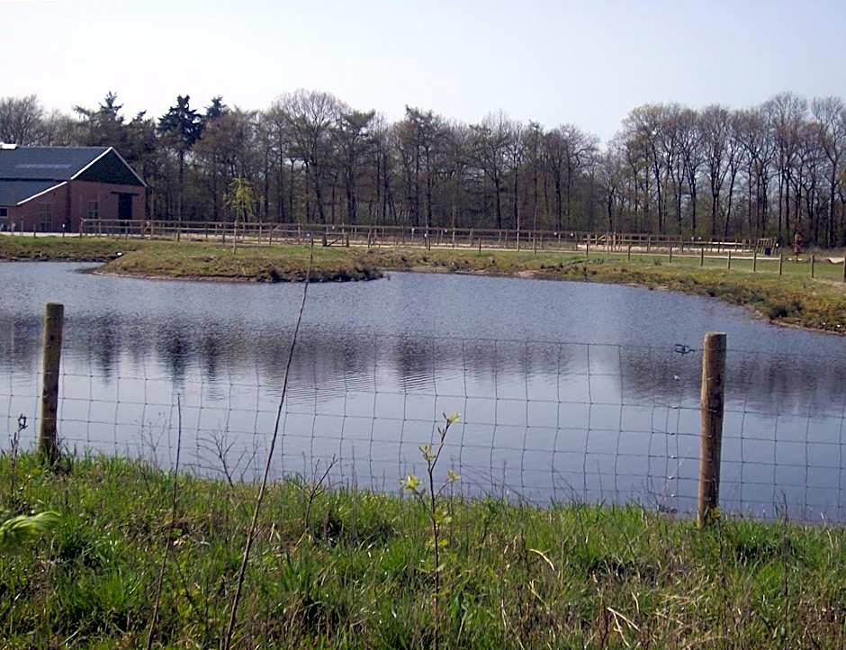 Horsetellerie Rheezerveen