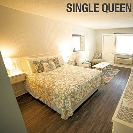 Large Single Room