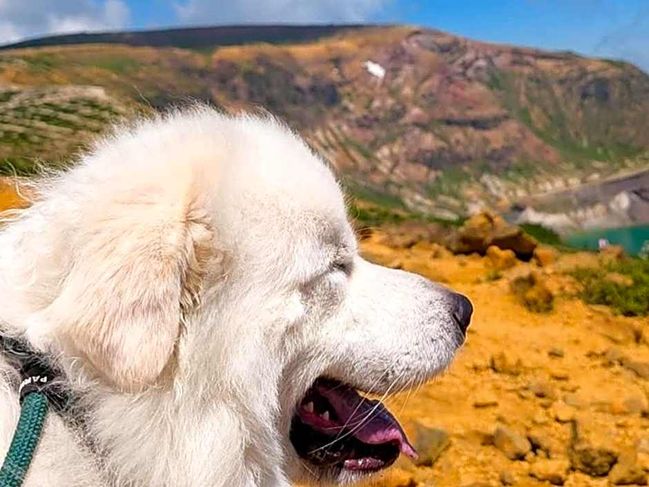 Zao Onsen Lodge Sukore - Vacation STAY 55497v