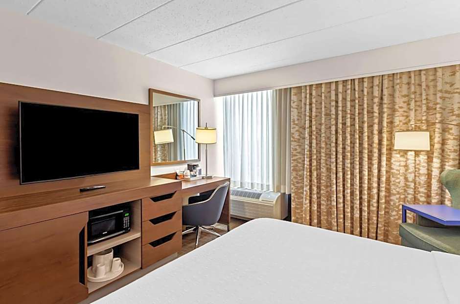 Photo 1 of 4 of 1 King Bed, Hearing/Mobility Accessible, Bathtub