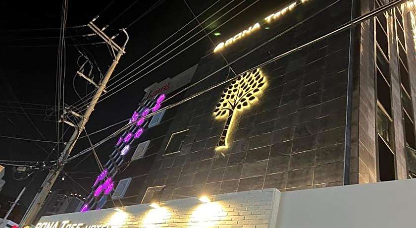 BONA Tree Hotel