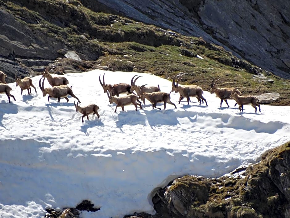 Chez Laurette et Louis