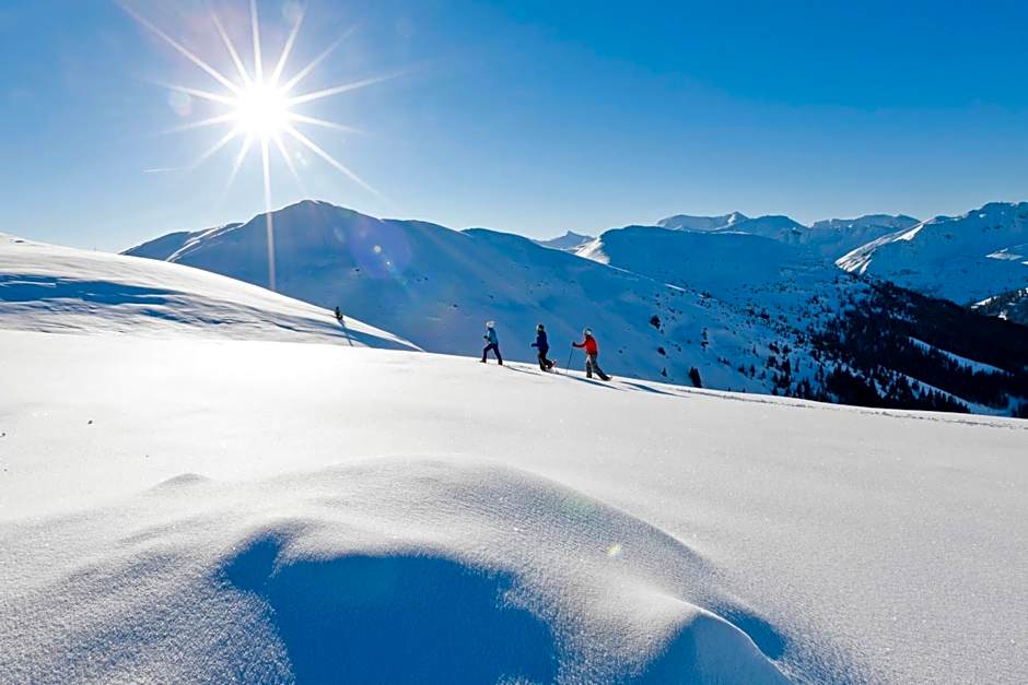 JUFA Hotel Planneralm