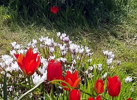 Danielle boutique suite