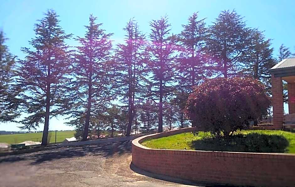 Bathurst Gold Panner