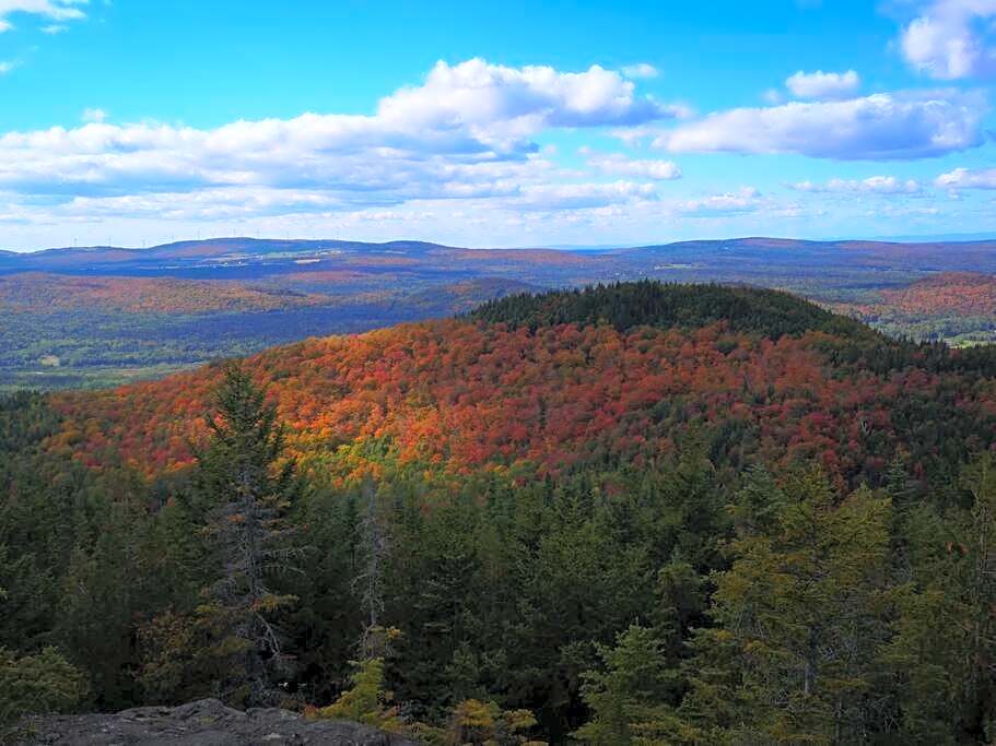 Refuge Rustic bordé par rivière et la nature