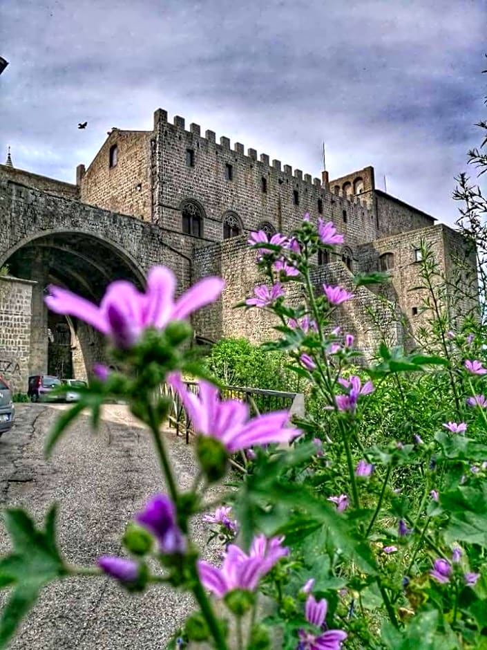 B&B Le Cinque Querce