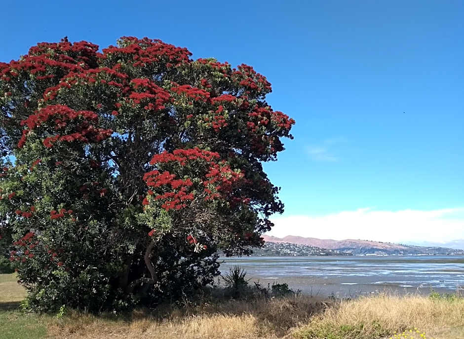 South Brighton Holiday Park