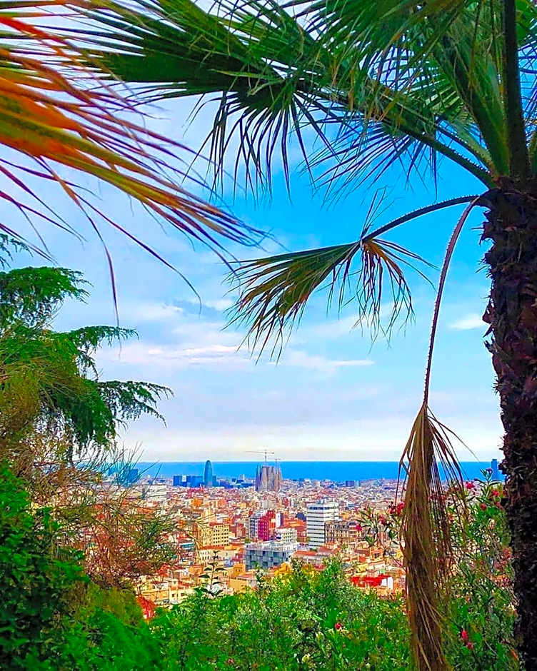 Mediterranean Hostel Barcelona