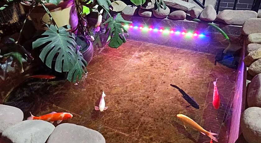 Pingyao Jia Xin Guest House