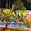 Zayali Bacalar - Guest House