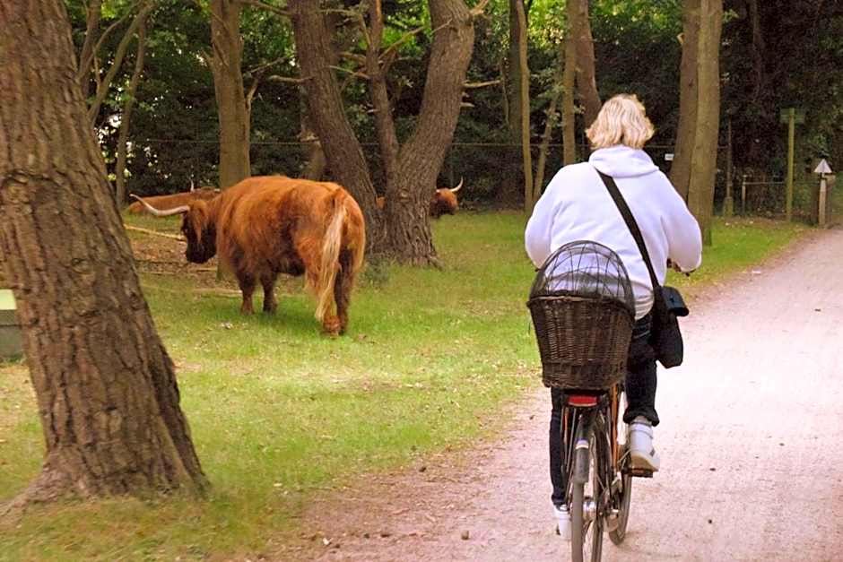Hotel / Pension Villa Tanahlot