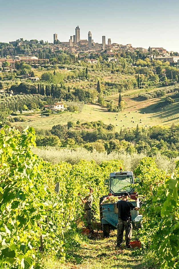 Agriturismo Il Casolare Di Bucciano