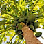 Hotel Dar Zitoune Taroudant