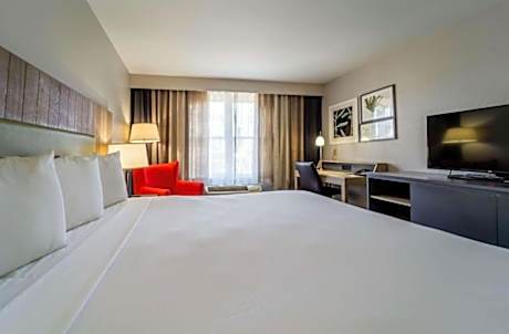 King Bed-1 Bedroom Suite-Non Smoking