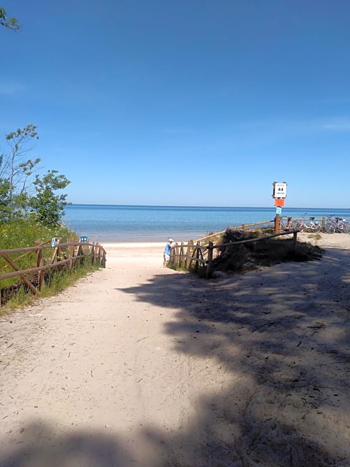 Niezapominajka Kopalino