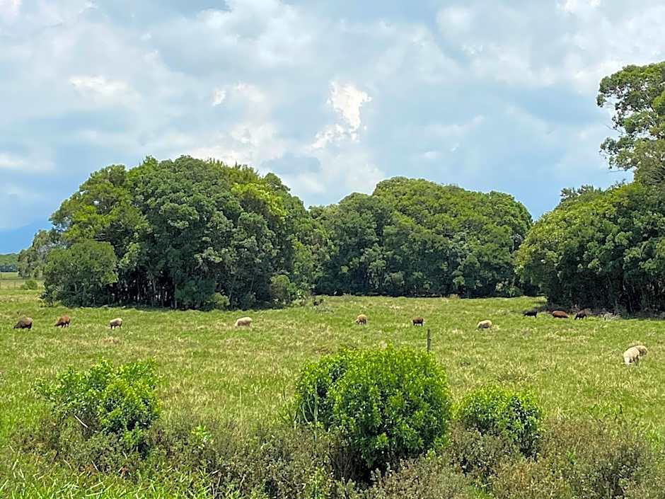 Haras Trevo de Ferro, Praia, Piscina e Campo