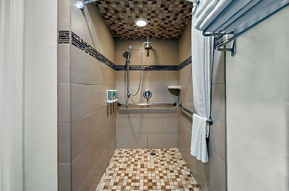 Photo 1 of 4 of 1 King Bed, Mobility Accessible, Roll in Shower